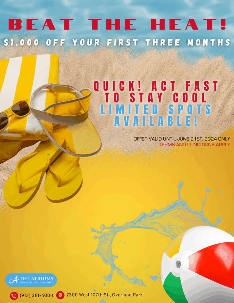 Promotional Flyer